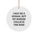 Funny Border Collie Dog Lover Gifts from Friends to Family for Christmas Unique Ornament - Image 1