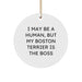 Boston Terrier Dog Lover Christmas Circle Ornament Gifts from Family Friends, Boston Terrier Dog Gifts for Men Women - Image 1