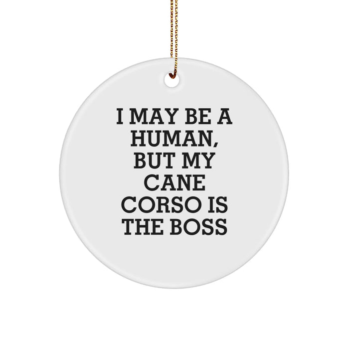 Funny Cane Corso Dog Lover Gifts from Friends for Christmas Unique Ornaments - Image 1