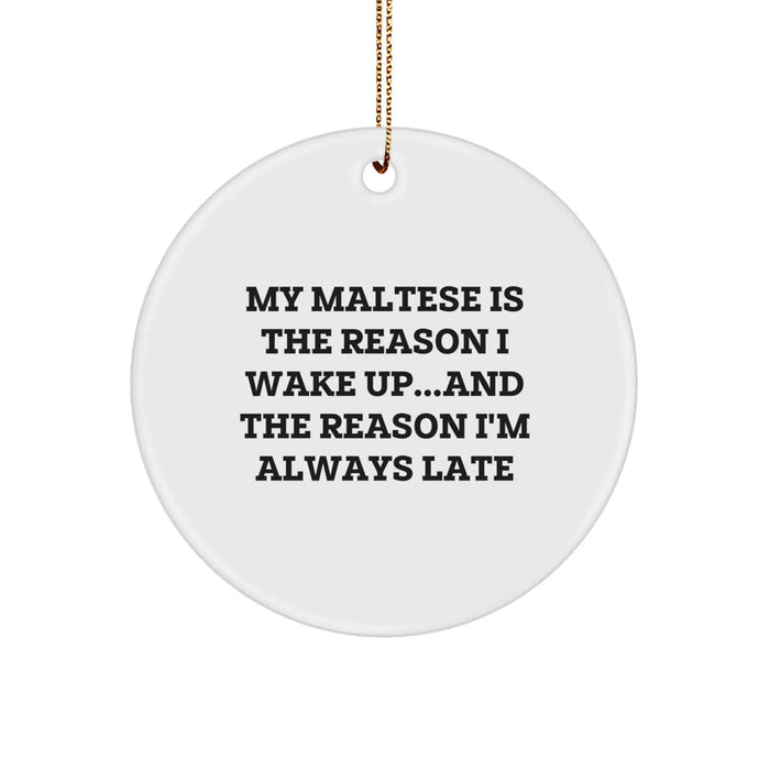 Funny Maltese Dog Gifts - Circle Ornament for Maltese Dog Lovers - 'My Maltese Is The Reason I Wake Up...and The Reason I'm Always Late' Christmas Unique Gifts from Family to Friends - Image 1