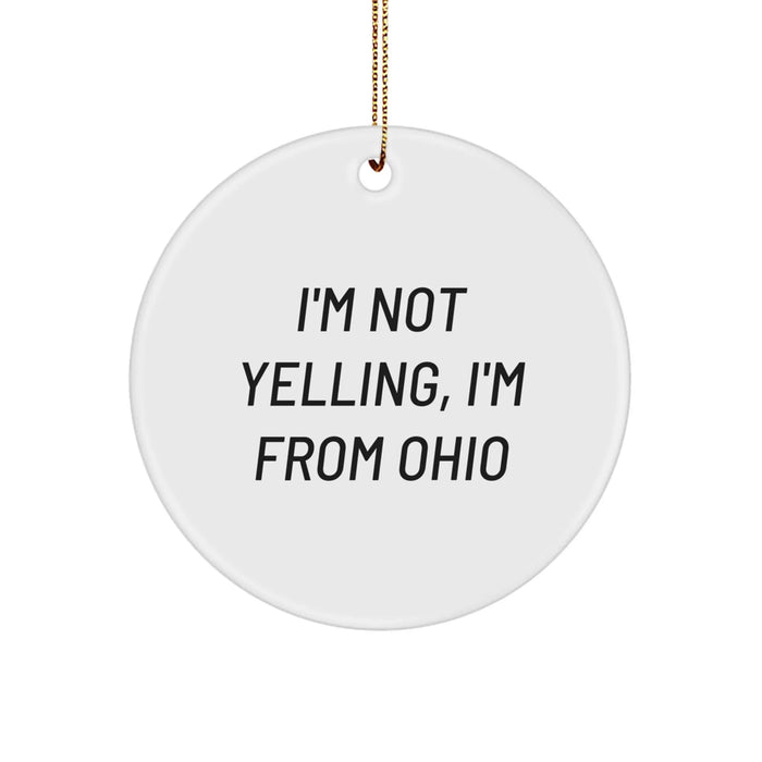 Funny Ohio Circle Ornament Gifts from Friends and Family for Ohio Residents Home Decor - Image 1