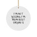 Funny West Virginia Circle Ornament, I'm Not Yelling, I'm From West Virginia Gifts for Family, Friends, Coworkers, Men, Women, Christmas Unique Gifts from West Virginia - Image 1