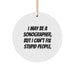 Funny Sonographer Gifts from Friends for Coworkers Christmas Unique Ornaments - I May Be A 'Sonographer, But I Can't Fix Stupid People.' - Image 1