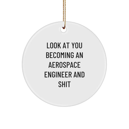 Funny Aerospace Engineer Circle Ornament Gifts from Friends for Aerospace Engineer Man - Image 1