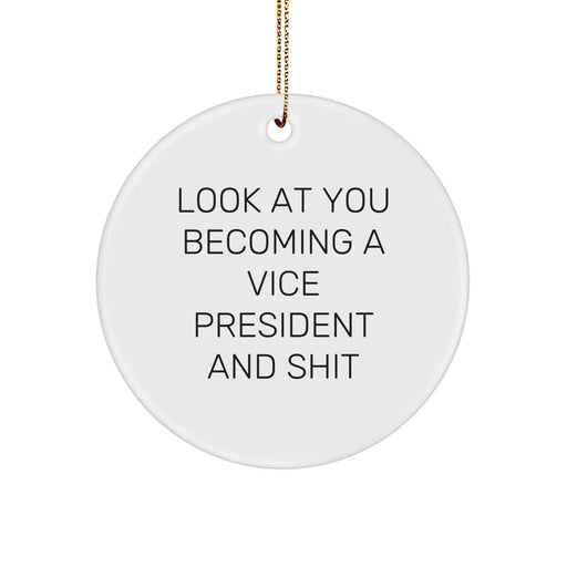 Funny Vice President Gifts from Friends Christmas Circle Ornament for Him Her - Image 1