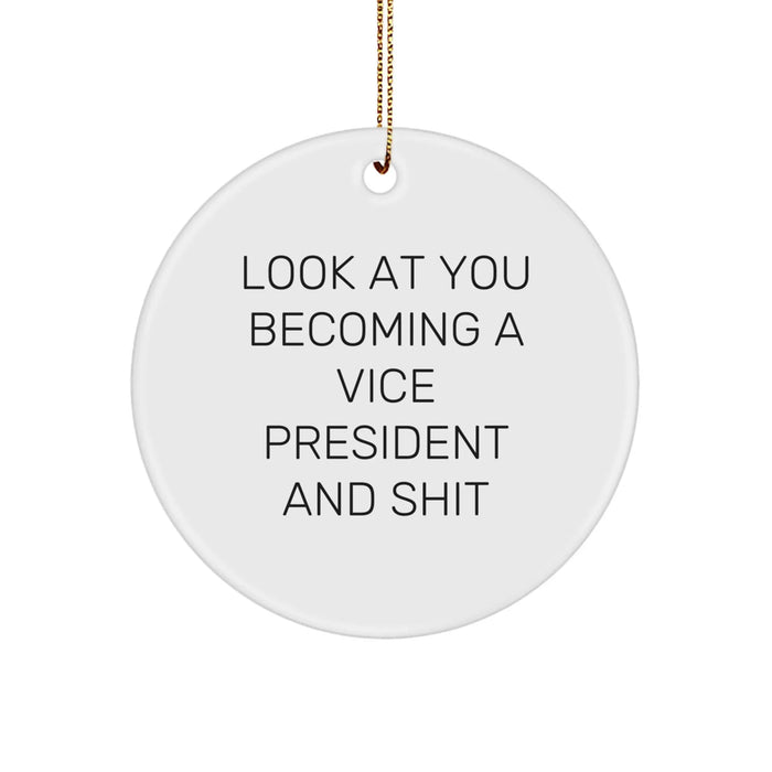 Funny Vice President Gifts from Friends Christmas Circle Ornament for Him Her - Image 1