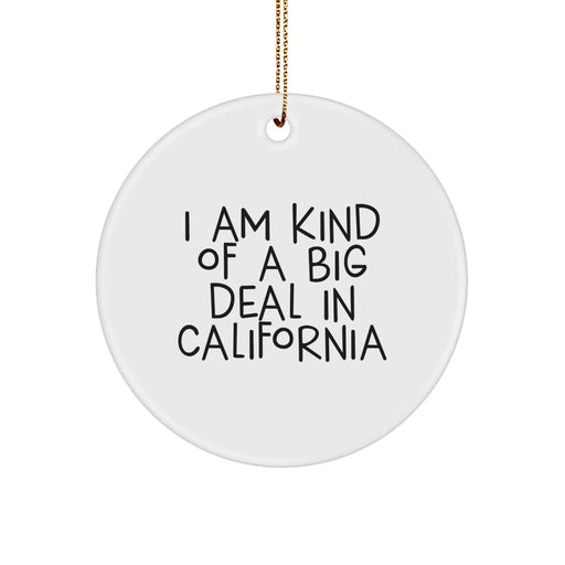 Funny California Gifts from Friends - Christmas Unique California Circle Ornament, 'I Am Kind Of A Prime Selection' Sublimation Print - Image 1