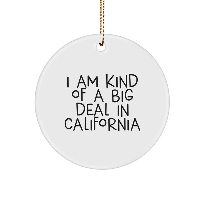Funny California Gifts from Friends - Christmas Unique California Circle Ornament, 'I Am Kind Of A Prime Selection' Sublimation Print - Image 1