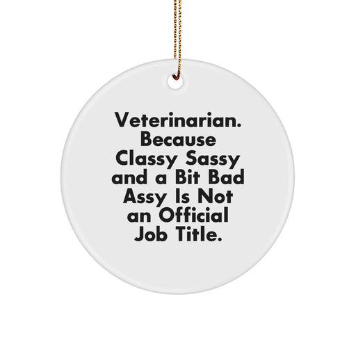 Funny Veterinarian Gifts for Men Christmas Circle Ornament - Gifts from Friends - Image 1