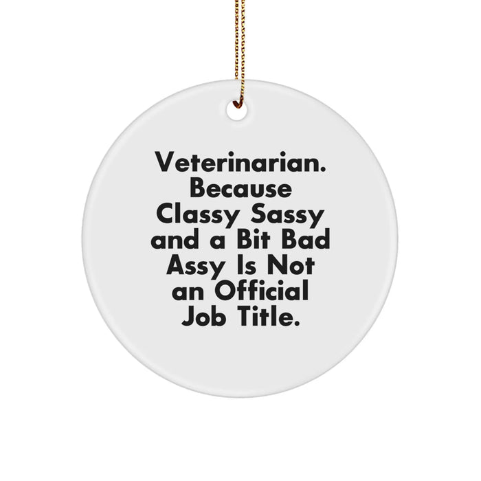 Funny Veterinarian Gifts for Men Christmas Circle Ornament - Gifts from Friends - Image 1