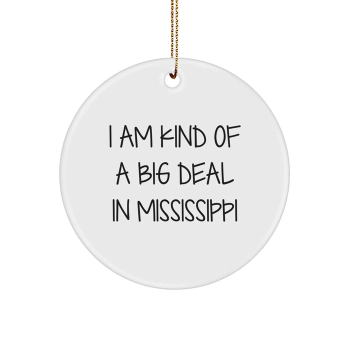 Funny Mississippi Circle Ornament Gifts from Men to Mississippi Women Friends - Image 1