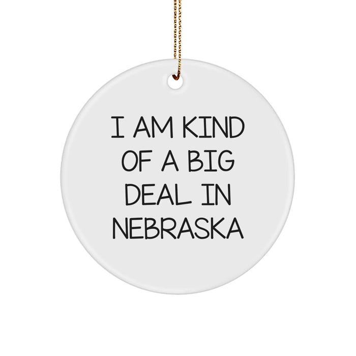I Am Kind Of A Prime Selection In Nebraska Circle Ornament Gifts from Friends for Family Christmas - Image 1