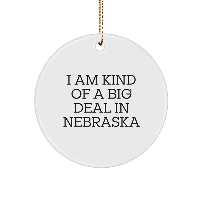 Gifts From Men to Friends in Nebraska - I Am Kind Of A Prime Selection Circle Ornament, Funny Quote, White Color, 2.75\ - Image 1