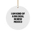 Funny 'I Am Kind Of A Prime Selection In New Mexico' Circle Ornament, New Mexico Gifts for Family, Friends, and Coworkers, Unique Christmas Unique Gifts from Men, Women, and Kids - Image 1