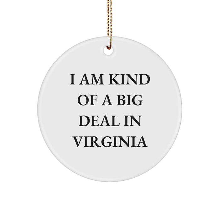 Funny Virginia Circle Ornament Gifts from Friends and Family for Christmas - Image 1