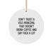 Funny Vice-principal Gifts from Men, Unique Christmas Unique Gifts for Vice-principal, Don't Trust Vice-principal That Doesn't Drink Coffee Funny Ornament - Image 1