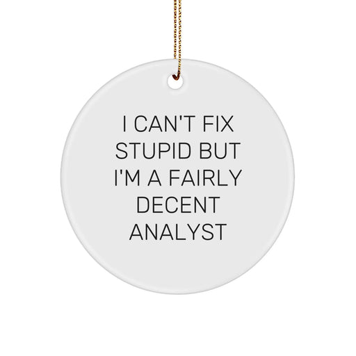 Funny Analyst Gifts for Friends, Unique Circle Ornament, I Can't Fix Stupid But I'm A Fairly Decent Analyst, Christmas Unique Gifts, Gifts from Men to Friends, Gifts for Analyst - Image 1