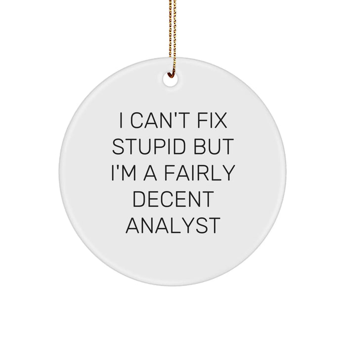 Funny Analyst Gifts for Friends, Unique Circle Ornament, I Can't Fix Stupid But I'm A Fairly Decent Analyst, Christmas Unique Gifts, Gifts from Men to Friends, Gifts for Analyst - Image 1
