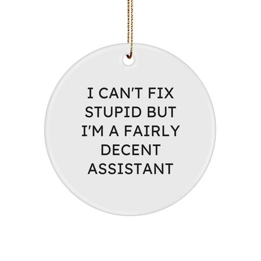 Funny Assistant Gifts, Circle Ornament for Assistant Lover, I Can't Fix Stupid But I'm A Fairly Decent Assistant Christmas Ornament - Image 1