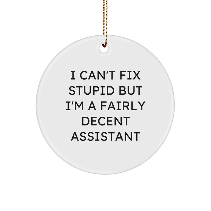 Funny Assistant Gifts, Circle Ornament for Assistant Lover, I Can't Fix Stupid But I'm A Fairly Decent Assistant Christmas Ornament - Image 1