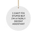 Funny Assistant Gifts, Circle Ornament for Assistant Lover, I Can't Fix Stupid But I'm A Fairly Decent Assistant Christmas Ornament - Image 1
