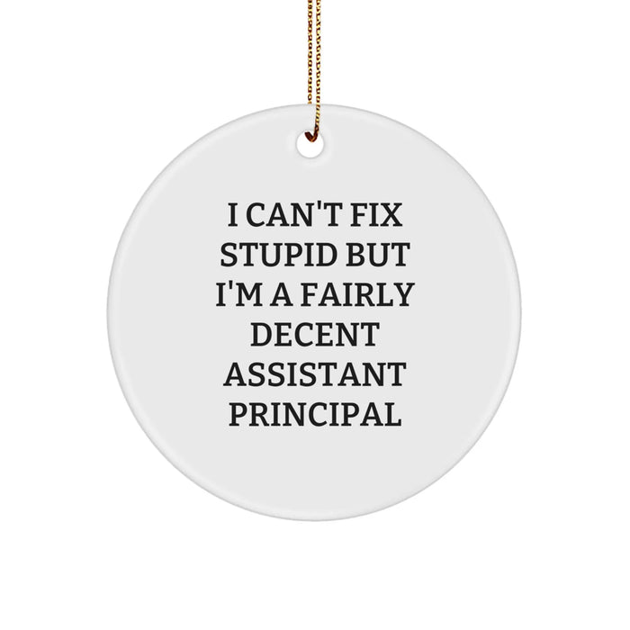 Funny Assistant Principal Gifts from Friends - Circle Ornament for Assistant Principals Men Women Coworkers Family - Image 1