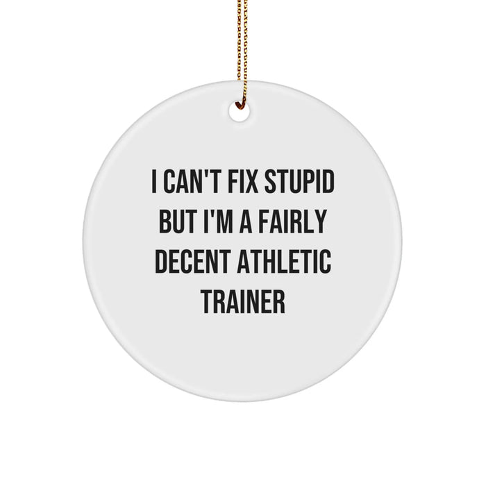 Funny Athletic Trainer Gifts from Friends for Men - 'I Can't Fix Stupid' Christmas Unique Ornaments - Image 1