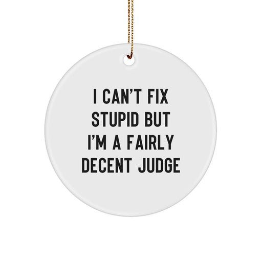 Funny Judge Gifts for Men - I Can't Fix Stupid But I'm A Decent Judge Christmas Ornament, Circle Ornament for Judge - Image 1