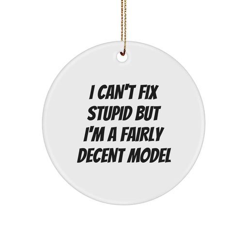 Funny Model Circle Ornament Gifts from Friends for Christmas, Unique Model Decorations I Can't Fix Stupid But I'm A Fairly Decent Model - Image 1