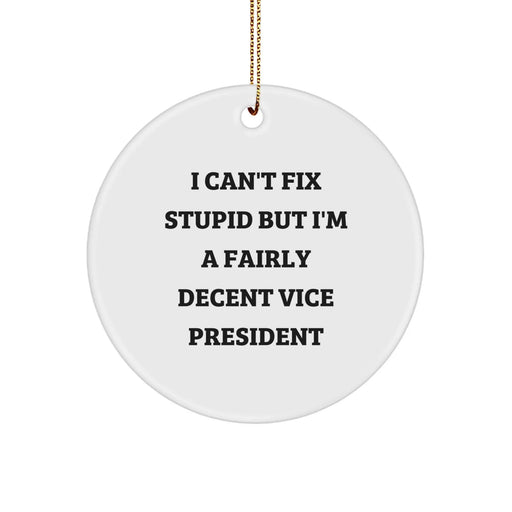 Funny Vice President Gifts, I Can't Fix Stupid But I'm A Fairly Decent Vice President, Christmas Unique Circle Ornaments from Friends - Image 1