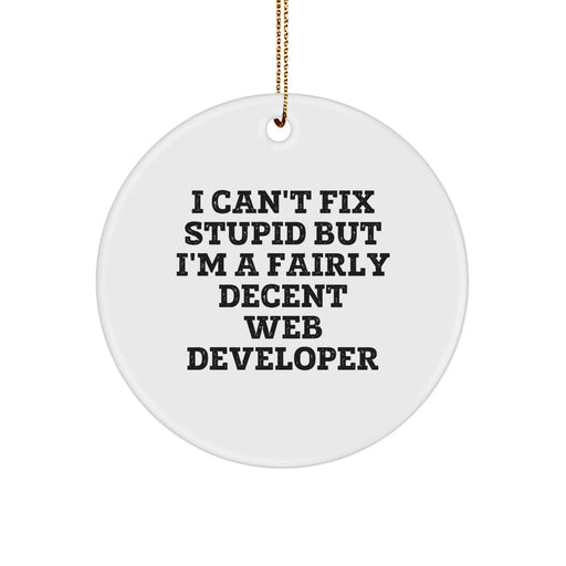 Funny Web Developer Christmas Unique Gifts for Men - 'I Can't Fix Stupid' Circle Ornament, Gifts from Friends for Web Developer Coworkers, Unique Circle Ornaments - Image 1