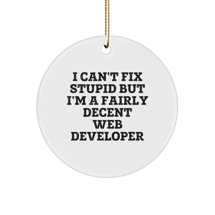 Funny Web Developer Christmas Unique Gifts for Men - 'I Can't Fix Stupid' Circle Ornament, Gifts from Friends for Web Developer Coworkers, Unique Circle Ornaments - Image 1