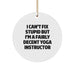 Funny Yoga Instructor Gifts from Friends for Yoga Instructors - I'm a Fairly Decent Circle Ornament - Image 1