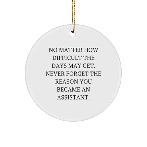 Funny Assistant Gifts from Men to Assistants, Christmas Unique Circle Ornaments, Inspirational Quote for Assistants - Never Forget Why You Became an Assistant - Image 1