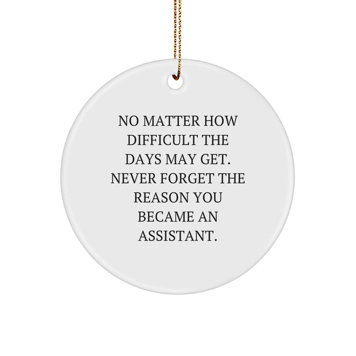 Funny Assistant Gifts from Men to Assistants, Christmas Unique Circle Ornaments, Inspirational Quote for Assistants - Never Forget Why You Became an Assistant - Image 1