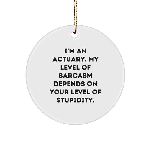 Funny Actuary Gifts, Circle Ornament, I'm An Actuary Sarcasm Humor Christmas Unique Gifts from Friends, Coworkers, Family - Image 1