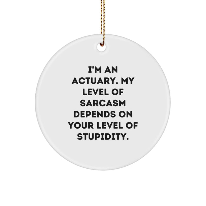 Funny Actuary Gifts, Circle Ornament, I'm An Actuary Sarcasm Humor Christmas Unique Gifts from Friends, Coworkers, Family - Image 1