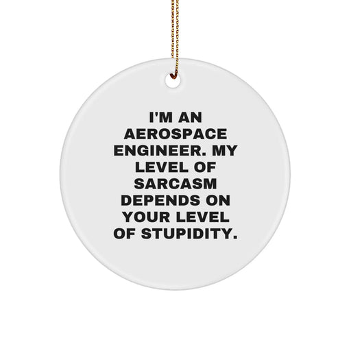 Funny Aerospace Engineer Gift Ideas for Men Friends, I'm An Aerospace Engineer, My Level Of Sarcasm Depends On Your Level Of Stupidity, Circle Ornament - Image 1