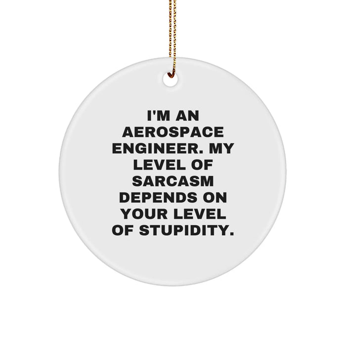 Funny Aerospace Engineer Gift Ideas for Men Friends, I'm An Aerospace Engineer, My Level Of Sarcasm Depends On Your Level Of Stupidity, Circle Ornament - Image 1