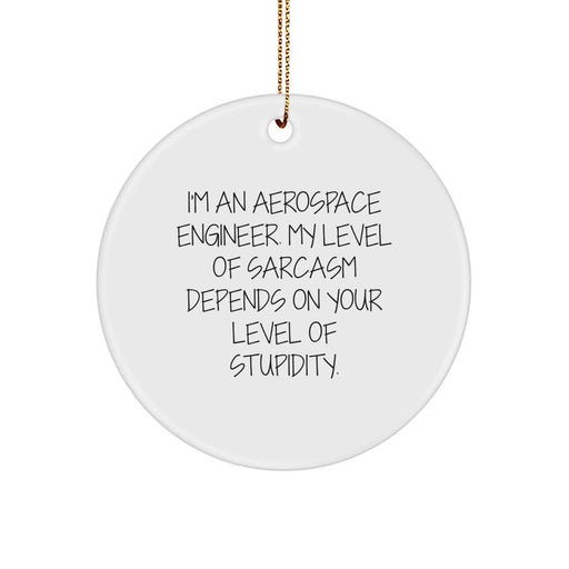 Funny Aerospace Engineer Gifts for Men, Sassy Quote Circle Ornament with Gold Cord - Gifts from Friends, Perfect Christmas Unique Gifts Idea - Image 1