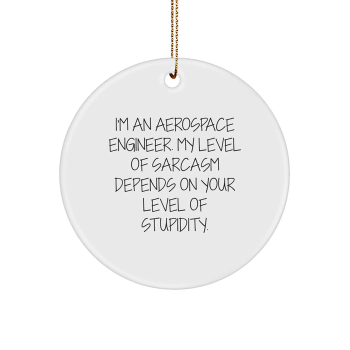 Funny Aerospace Engineer Gifts for Men, Sassy Quote Circle Ornament with Gold Cord - Gifts from Friends, Perfect Christmas Unique Gifts Idea - Image 1