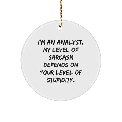 Funny Analyst Gifts for Friends, Christmas Unique Circle Ornament from Friends, Sarcastic White Circle Shaped Decoration for Men, Women, Coworkers, Family - Image 1