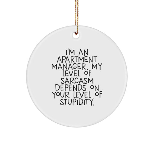 Funny Apartment Manager Gifts from Friends - Cute Circle Ornament for Men's and Women's Christmas Unique Presents - Sarcastic Quote for Apartment Managers' Office Decor - Image 1