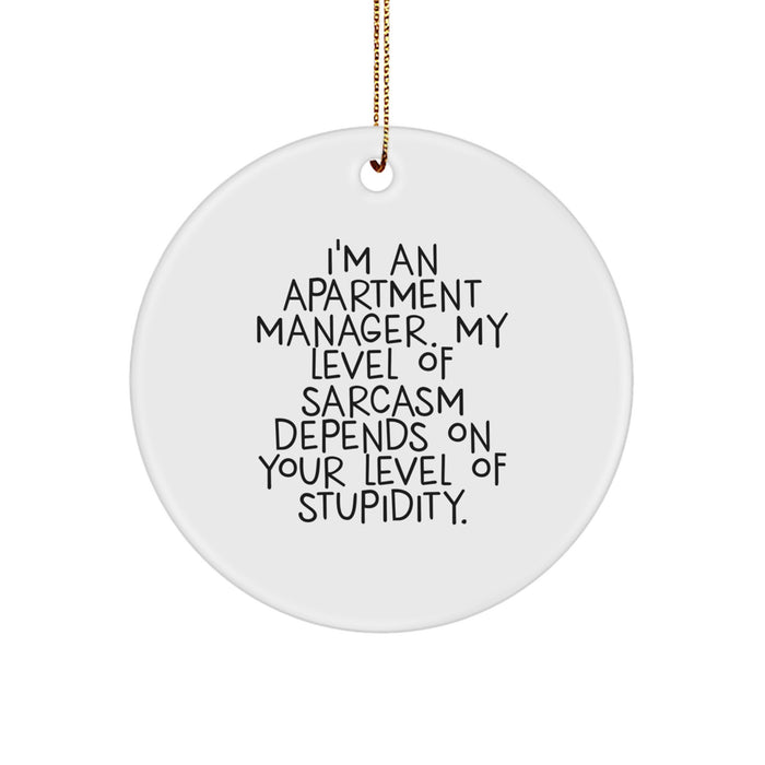 Funny Apartment Manager Gifts from Friends - Cute Circle Ornament for Men's and Women's Christmas Unique Presents - Sarcastic Quote for Apartment Managers' Office Decor - Image 1