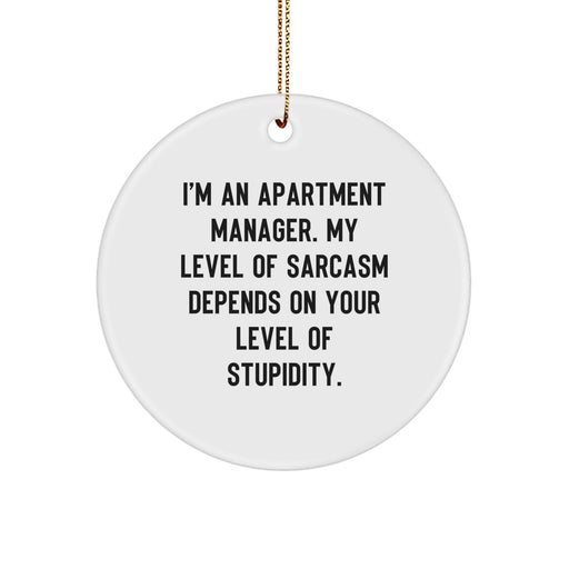 Funny Apartment Manager Gifts, Christmas Unique Circle Ornaments for Men Women Friends Coworkers 'I'm An Apartment Manager. My Level Of Sarcasm Depends On Your Level Of Stupidity.' - Image 1