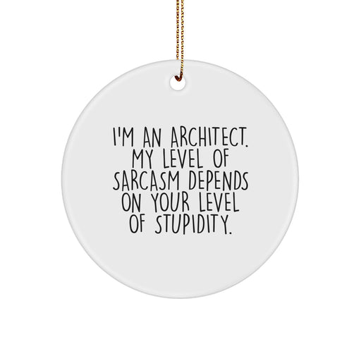 Funny Architect Gifts from Friends, Architect Circle Ornament for Men, 'I'm An Architect, My Level Of Sarcasm...' - Image 1