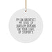 Funny Architect Gifts from Friends, Architect Circle Ornament for Men, 'I'm An Architect, My Level Of Sarcasm...' - Image 1