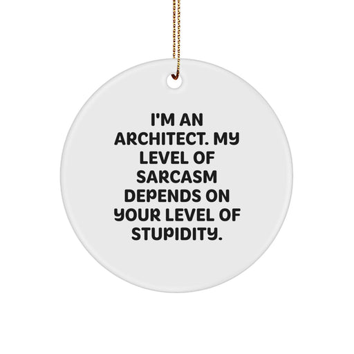 Gifts from Friends and Family for Architects, Funny Circle Ornament, Christmas Unique Inspirational Sarcasm Decor - Image 1