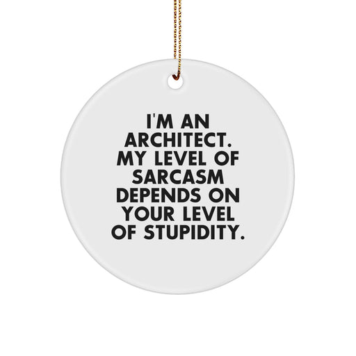 Funny Architect Gifts from Men for Architect - 'I'm An Architect. My Level Of Sarcasm Depends On Your Level Of Stupidity.' Christmas Unique Circle Ornament - Image 1