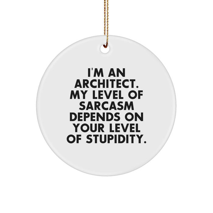 Funny Architect Gifts from Men for Architect - 'I'm An Architect. My Level Of Sarcasm Depends On Your Level Of Stupidity.' Christmas Unique Circle Ornament - Image 1